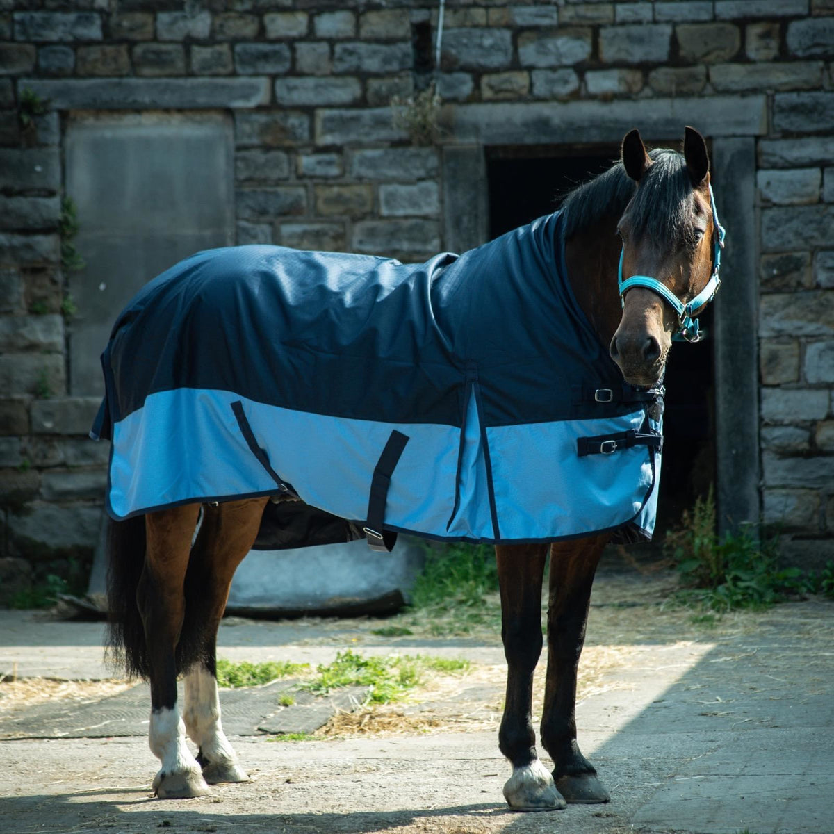 600D Leichte wasserdichte Pferde-Outdoordecke, 0g ohne Füllung, Half Neck, Navy/Babyblau