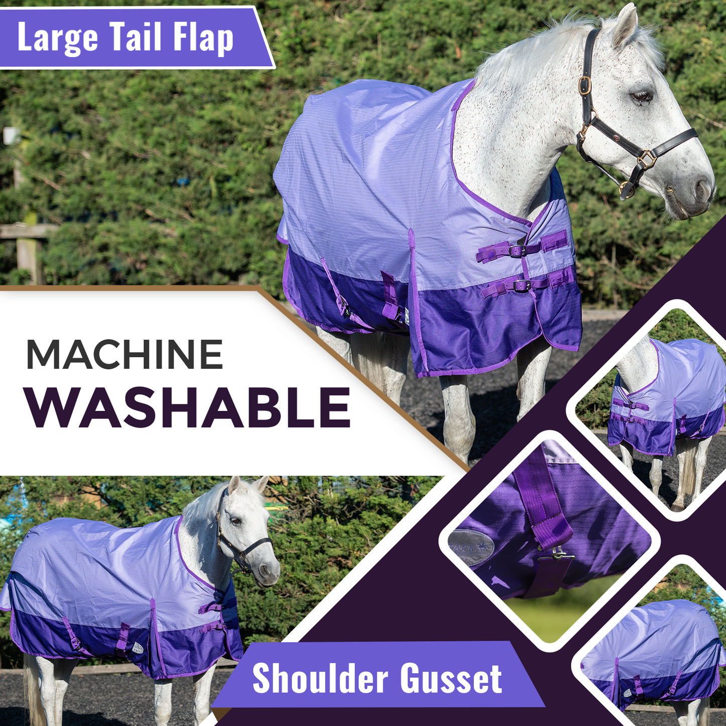600D Lightweight Waterproof Horse Turnout Rug 0g No Fill Regular Neck Lavender/Purple