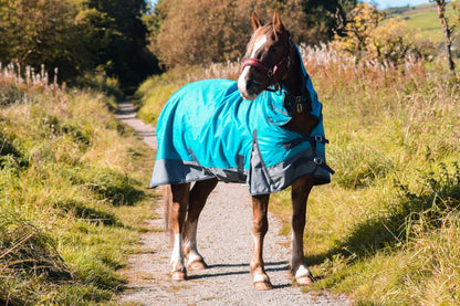 600D Mediumweight Waterproof Horse Turnout Rug 50g Fill Combo Full Neck Aqua/Dark Grey