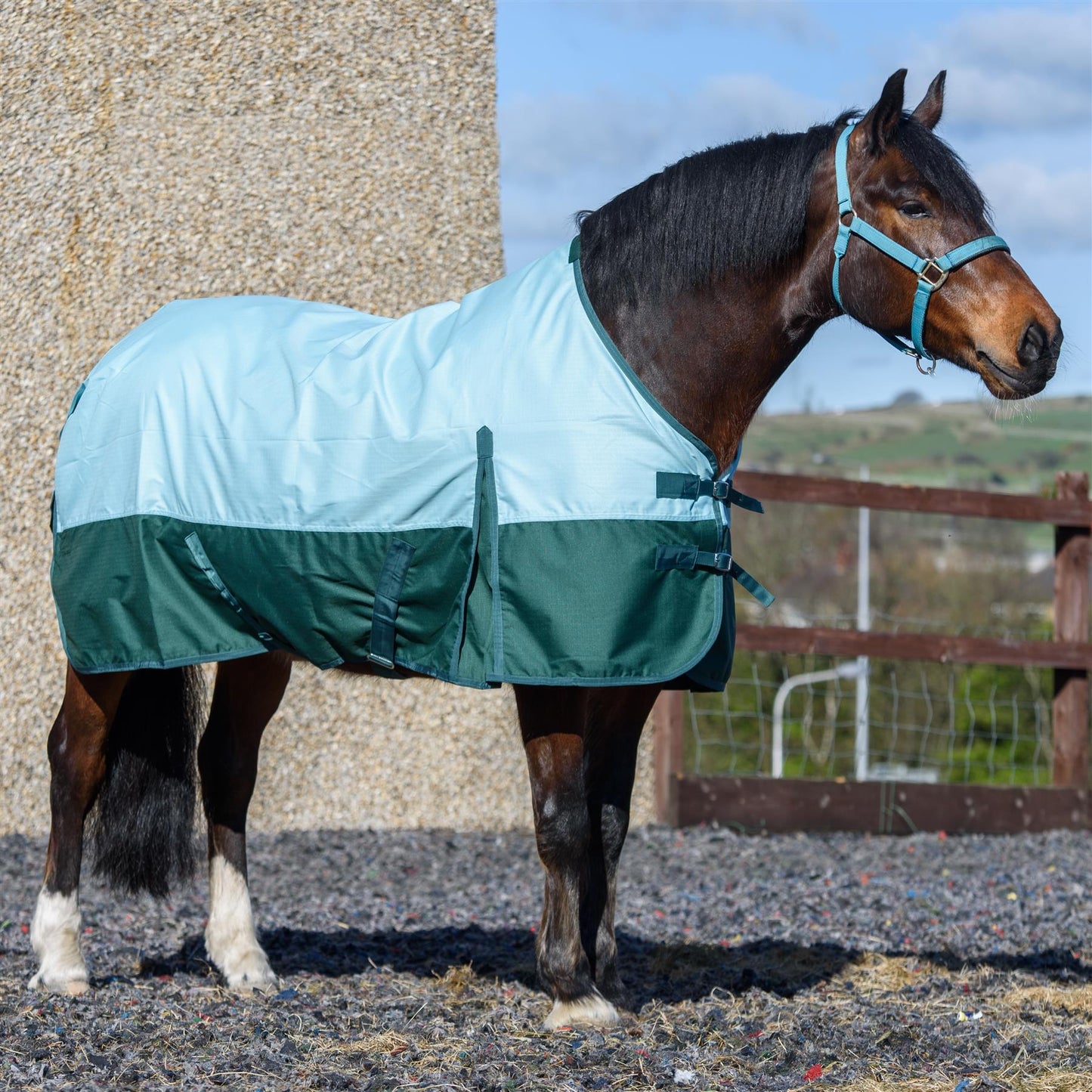 600D Lightweight Waterproof Horse Turnout Rug 0g No Fill Regular Neck Pista Aqua/Bottle Green
