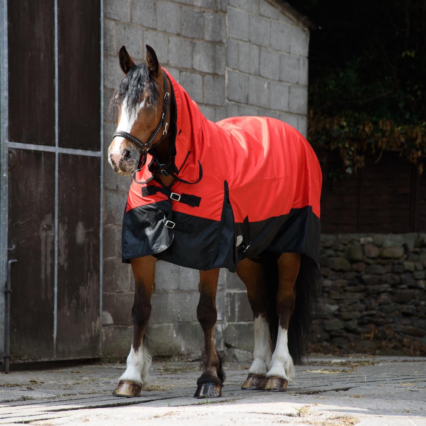 600D Mediumweight Waterproof Horse Turnout Rug 50g Fill Combo Full Neck Red/Black