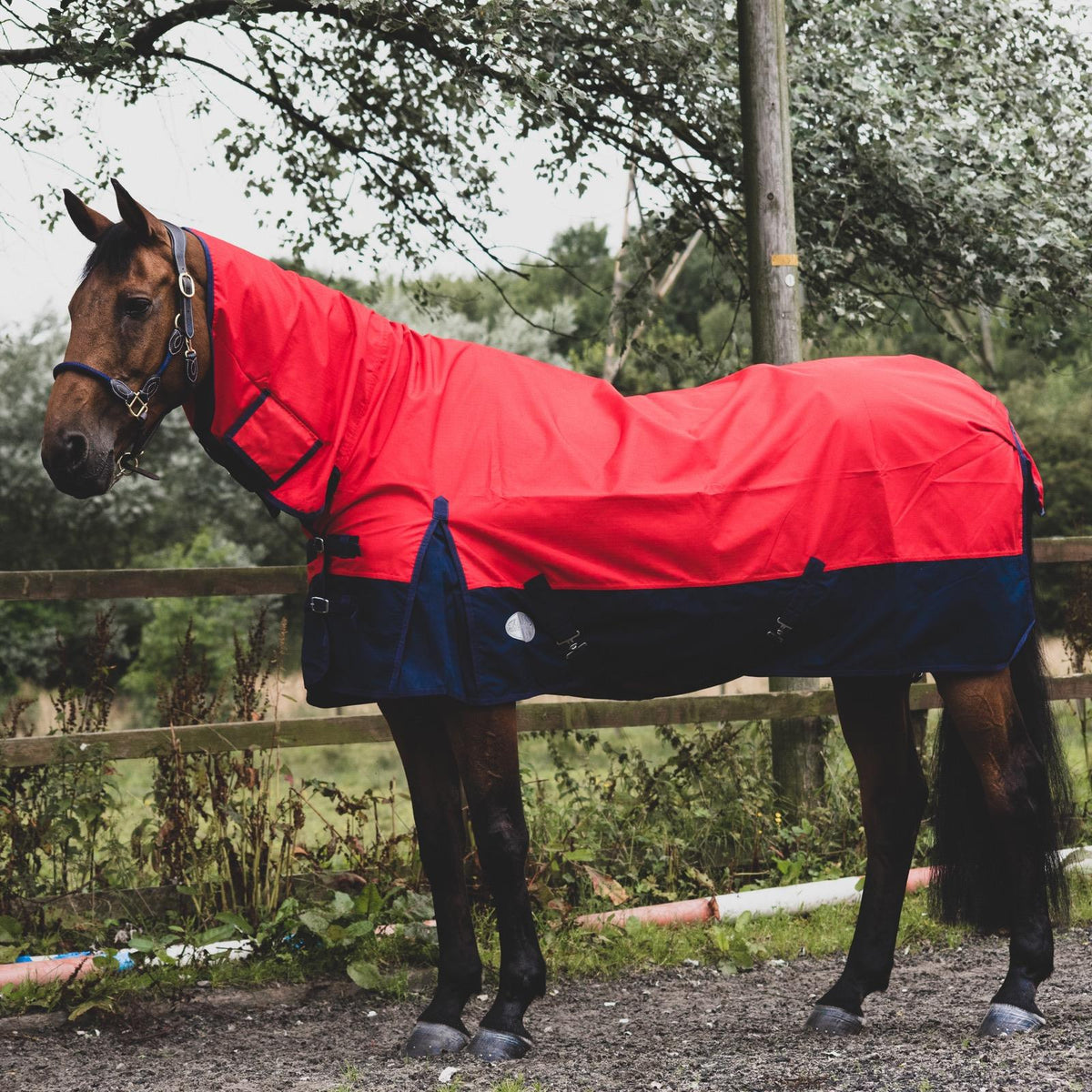 1200D Mediumweight Waterproof Horse Turnout Rug 50g Fill Combo Full Neck Red/Navy
