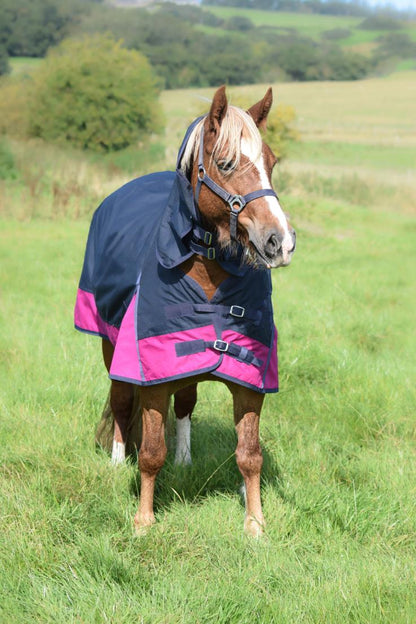 600D Lightweight Waterproof Horse Turnout Rug 0g No Fill Combo Full Neck Navy/Raspberry