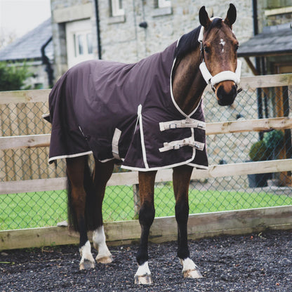 600D Mediumweight Waterproof Horse Turnout Rug 100g Fill Half Neck Brown