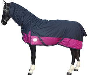 Fill Combo Turnout Rug